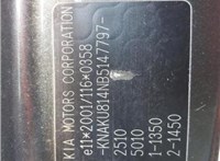 2011; 2.2л; Дизель; CRDi; Джип (5-дверный); коричневый; Англия; разб. номер X5398 #3