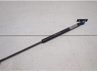 091462810512 Амортизатор капота Opel Omega B 1994-2003 5538686 #5