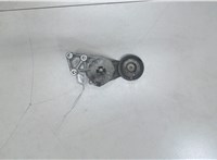  Натяжитель приводного ремня Volkswagen Beetle 1998-2010 6236685 #1