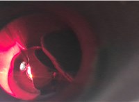  Катализатор Cadillac CTS 2001-2007 6281772 #3