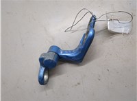 5012216, 5012218 Петля двери Ford Focus 2 2008-2011 6436014 #4