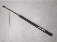 1751102 Амортизатор крышки багажника Ford Focus 3 2011-2015 6513111 #4