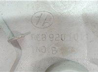 reb9201011 Колпачок литого диска Renault Megane 1996-2002 6812574 #3
