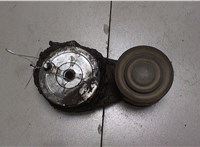  Натяжитель приводного ремня Renault Magnum DXI 2006-2013 6856460 #1