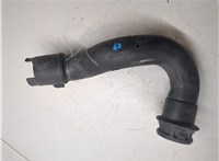 9646617980 Воздуховод Citroen C3 2002-2009 6875335 #5