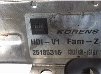  Охладитель отработанных газов Chevrolet Captiva 2011-2016 7014672 #3