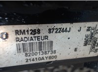  Радиатор охлаждения двигателя Renault Modus 7022365 #4
