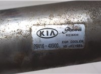  Охладитель отработанных газов KIA Carnival 2006-2008 7074622 #2