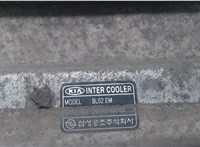 281904A160 Радиатор интеркулера KIA Sorento 2002-2009 7210277 #4