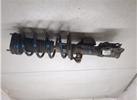 1848801, 1848797, 2207167, EY165310-AE Амортизатор подвески Ford Transit (Tourneo) Courier 2013-2018 7261363 #3