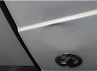 4422300 Дверь задняя (распашная) Opel Vivaro 2014-2019 7269490 #2