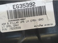 15233539 Обшивка центральной стойки Chevrolet Trailblazer 2001-2010 7357297 #3