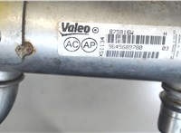  Охладитель отработанных газов Peugeot 407 7359841 #3
