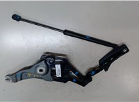 714834710 Петля капота BMW X5 E70 2007-2013 7394262 #4