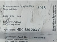 4E0880203C Подушка безопасности переднего пассажира Audi A8 (D3) 2002-2005 7417355 #3