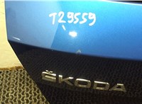 6V6827025H Крышка (дверь) багажника Skoda Fabia 2018-2021 7766863 #4