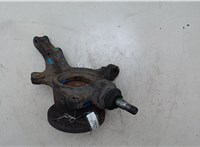 5171626100 Ступица (кулак, цапфа) Hyundai Santa Fe 2000-2005 7772135 #5