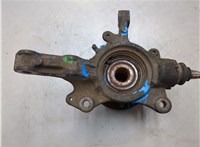 5171626100 Ступица (кулак, цапфа) Hyundai Santa Fe 2000-2005 7772135 #7