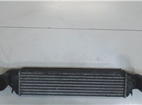1787779 Радиатор интеркулера BMW X3 E83 2004-2010 7824687 #1