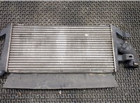  Радиатор интеркулера Dodge Caliber 7896666 #1