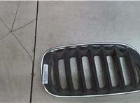  Решетка радиатора BMW X3 E83 2004-2010 7939512 #1