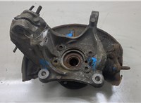 3C0407254F, 1K0407621F Ступица (кулак, цапфа) Volkswagen Passat CC 2012-2017 7945822 #3