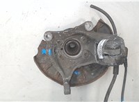 3C0407254F, 1K0407621F Ступица (кулак, цапфа) Volkswagen Passat CC 2008-2012 7991006 #3