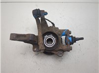 517162E100, 517502E900 Ступица (кулак, цапфа) KIA Sportage 2004-2010 7991834 #3