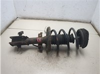 543020011R, 540090007R Амортизатор подвески Renault Laguna 3 2007- 8006089 #2