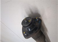 3350675154333526755839, 33521096278 Амортизатор подвески BMW X5 E53 2000-2007 8063648 #4