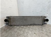 867658F Радиатор интеркулера Opel Movano 1999-2003 8072949 #1