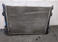 253102H000 Радиатор охлаждения двигателя Hyundai i30 2007-2012 8086426 #11