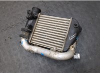 0281002399, 038906051b Радиатор интеркулера Audi A6 (C6) 2005-2011 8096903 #10