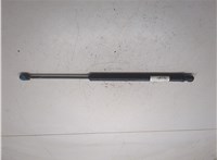 8731C5 Амортизатор крышки багажника Peugeot 406 1999-2004 8104392 #3