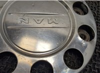  Колпак колесный Man 4-Serie TGA 2000-2008 8125298 #2