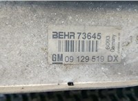09129519dx Радиатор интеркулера Opel Astra G 1998-2005 8158328 #2