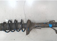 1J0413031BH, 1J0411105C Амортизатор подвески Volkswagen Bora 8165236 #6
