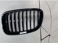 51137202109 Решетка радиатора BMW 5 F07 Gran Turismo 2009-2013 8217645 #1