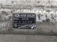  Радиатор интеркулера KIA Sorento 2002-2009 8219156 #3