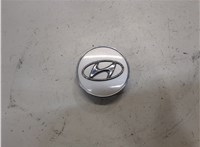  Колпачок литого диска Hyundai Elantra 2010-2014 8226685 #1
