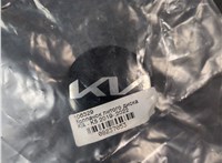 529603w200 Колпачок литого диска KIA K5 2019-2025 8237053 #3