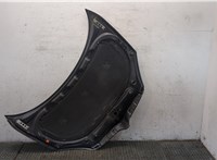 5J0823031A Капот Skoda Roomster 2006-2010 8255115 #4