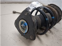 4m5118k001pbb Амортизатор подвески Ford Focus 2 2005-2008 8259279 #4