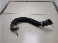  Патрубок интеркулера Audi A4 (B8) 2011-2015 20318905 #1