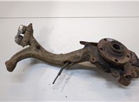  Ступица (кулак, цапфа) Audi A6 (C5) 1997-2004 20318933 #1