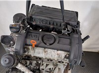 03C100034T Двигатель (ДВС) Seat Ibiza 4 2008-2012 2517437 #8