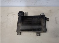  Радиатор интеркулера SsangYong Rexton 2001-2007 20319001 #2