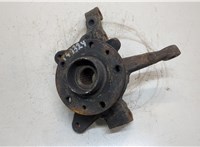  Ступица (кулак, цапфа) Renault Kangoo 2008-2013 20319025 #1