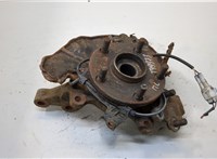  Ступица (кулак, цапфа) Toyota Avensis 2 2003-2008 20319130 #1