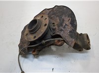  Ступица (кулак, цапфа) Volkswagen Transporter 5 2003-2009 20319201 #1
